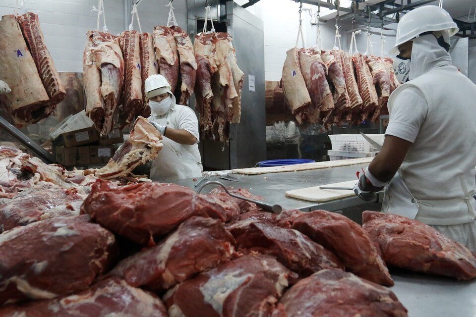 CARBAP SOSTIENE QUE SE “DEBEN LIBERAR LAS EXPORTACIONES EN SU TOTALIDAD”