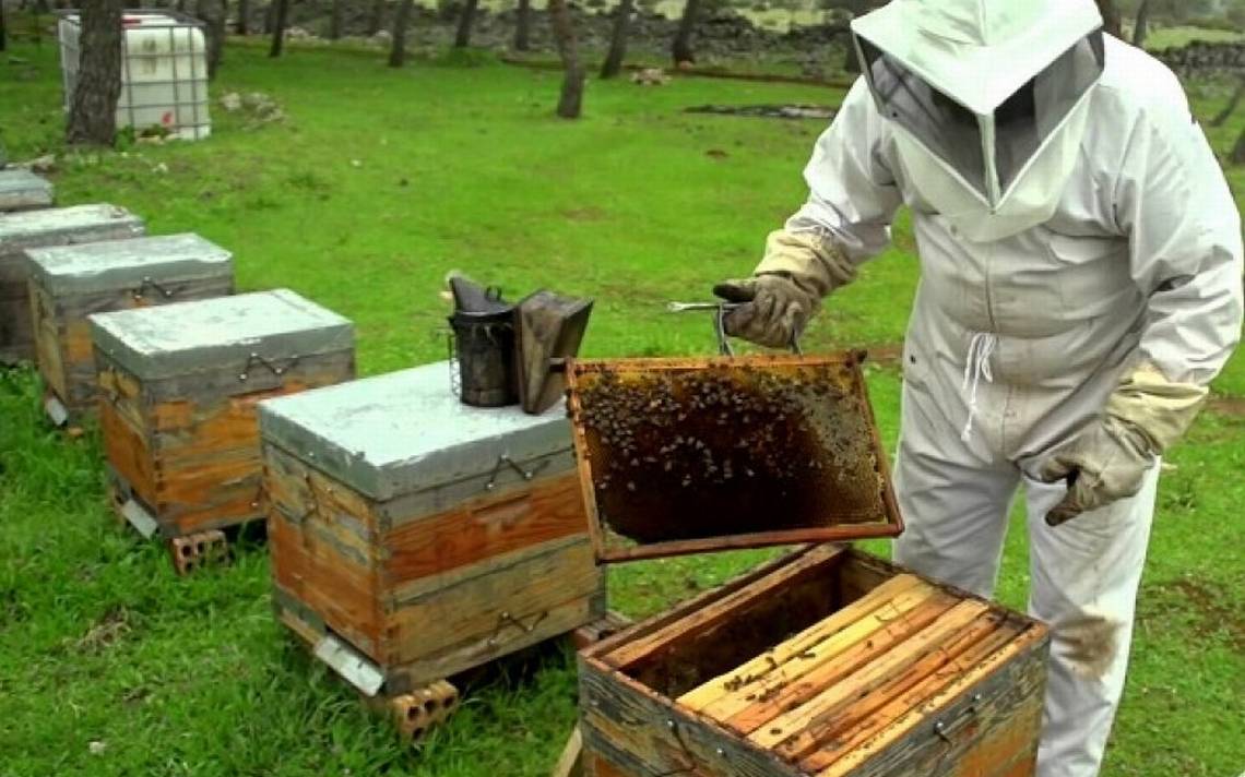 DESTACAN EL APOYO DE LA PROVINCIA A LA PRODUCCIÓN DE MIEL