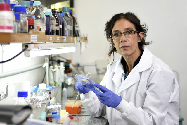 DESTACAN LA INFRAESTRUCTURA DEL PAÍS PARA PRODUCIR INSUMOS PARA LAS VACUNAS