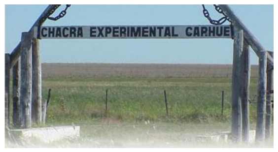 UNA VUELTA VIRTUAL Y SONORA POR LA CHACRA DEL MINISTERIO DE DESARROLLO AGRARIO