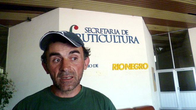 PODRÍA AUMENTAR EL PRECIO DE LA PERA