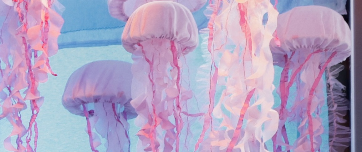 DESTACAN LA MUESTRA "VIDAS SUBMARINAS. CIENCIA, ARTE Y SOBERANÍA”