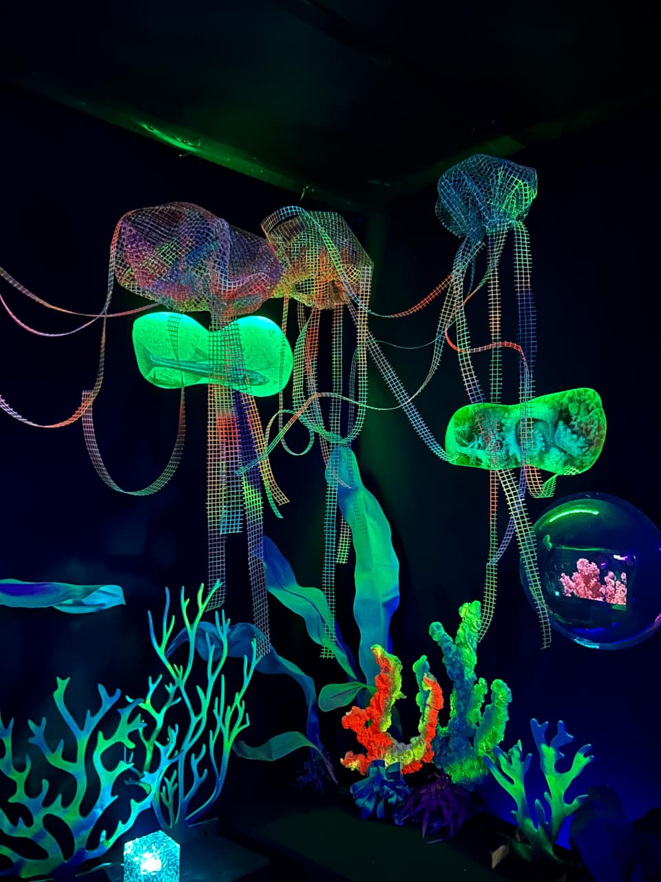 YA SE PUEDE VISITAR “VIDAS SUBMARINAS” EN LA PLATA