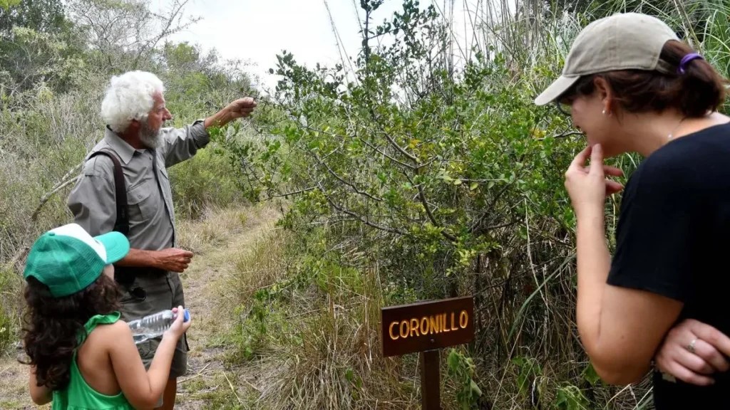 PREOCUPACIÓN POR LA RETRACCIÓN DE LA FLORA NATIVA EN LAS COSTAS DE LA PROVINCIA