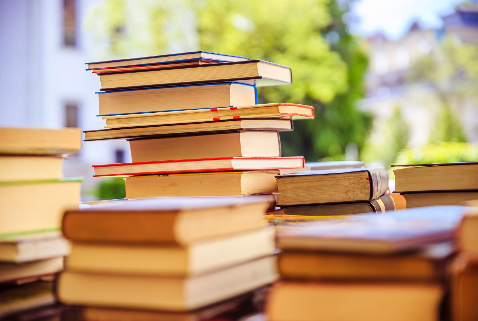 ASEGURAN QUE CAYÓ UN 30% LA VENTA DE LIBROS