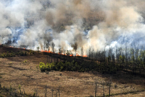 SIGUEN LOS TRABAJOS PARA COMBATIR LOS INCENDIOS