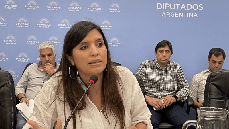 DANIELA VILAR: "LA OPOSICIÓN NUNCA ACOMPAÑÓ LAS LEYES AMBIENTALES"