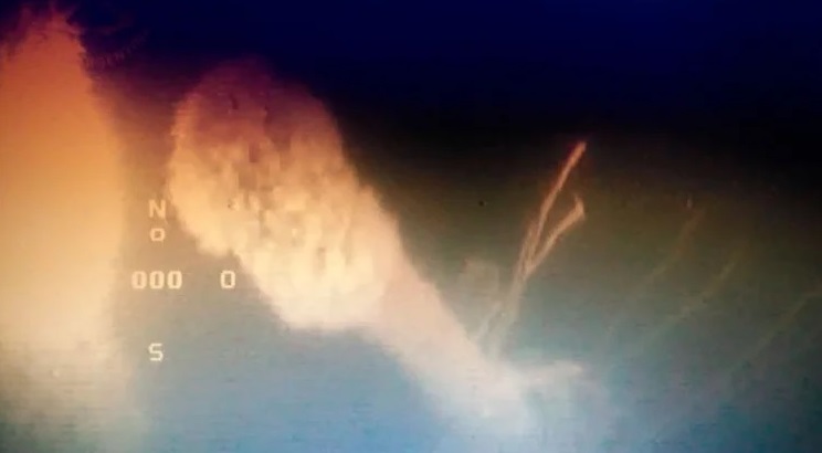 ESPECIALISTAS CONFIRMARON QUE EL NAUFRAGIO HALLADO ES UN SUBMARINO NAZI