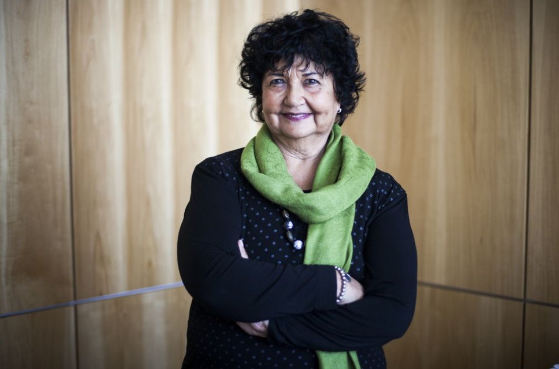DORA BARRANCOS: “TIENE COMO OBJETIVO BLINDAR A LOS DEPREDADORES SEXUALES DOMÉSTICOS”