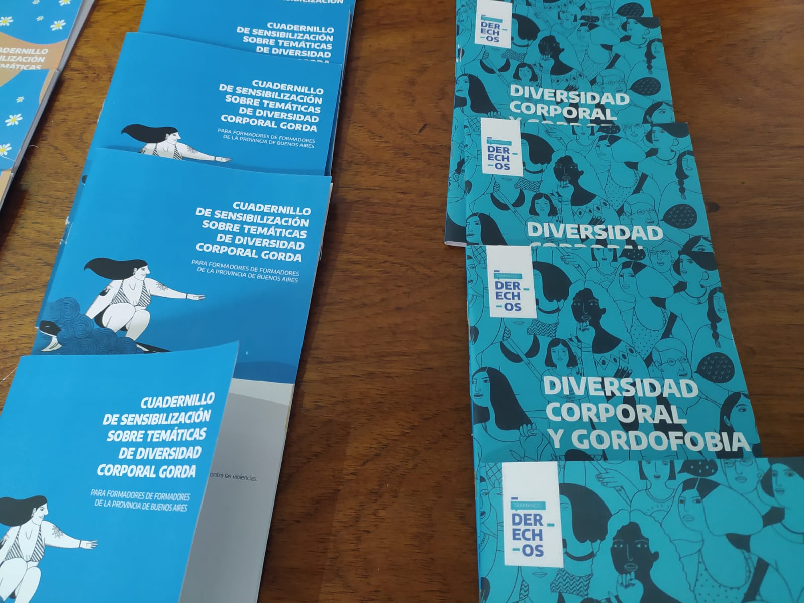 ESTELA DÍAZ: "HAY QUE RECONOCER LA IGUALDAD DESDE LA DIVERSIDAD CORPORAL COMO DERECHO"