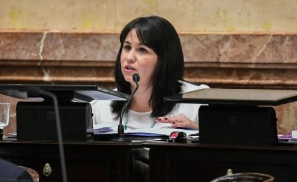 LA SENADORA ALMIRON ES OPTIMISTA CON LA POSIBLE SANCIÓN DE LA LEY DE IVE