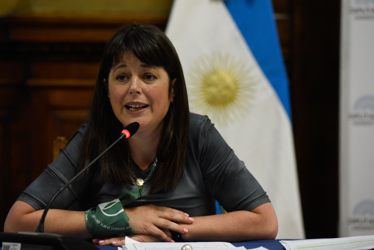 GAILLARD ASEGURÓ QUE “LA LEY DE DROGAS ES VETUSTA Y ANACRÓNICA”