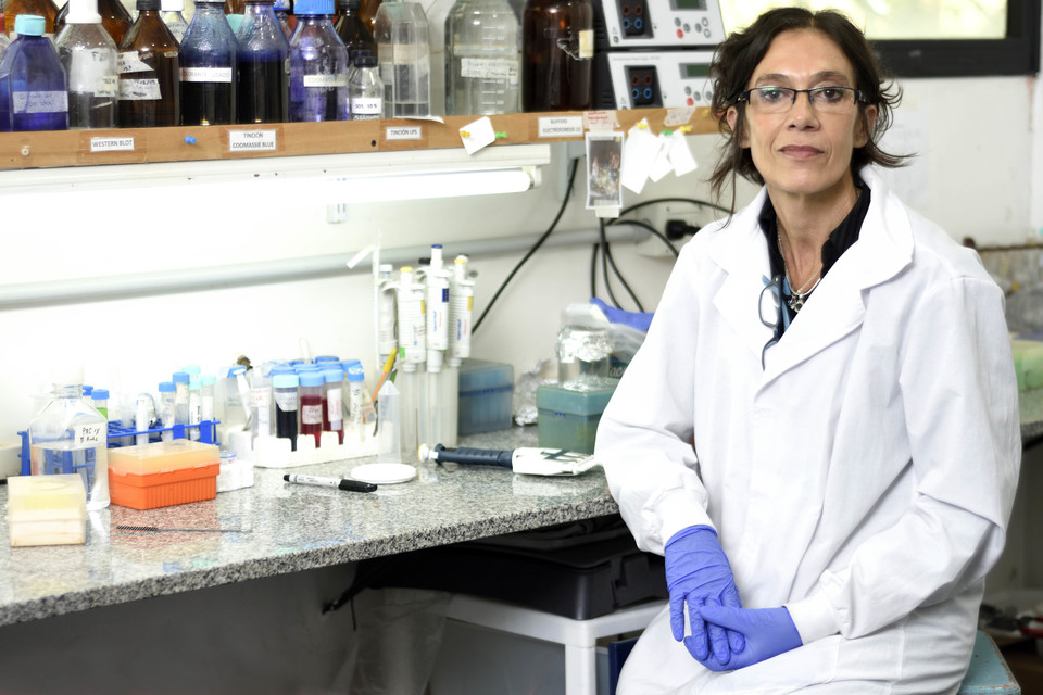 DANIELA HOZBOR: “LOS RESULTADOS DE LAS VACUNAS SON ALENTADORES”