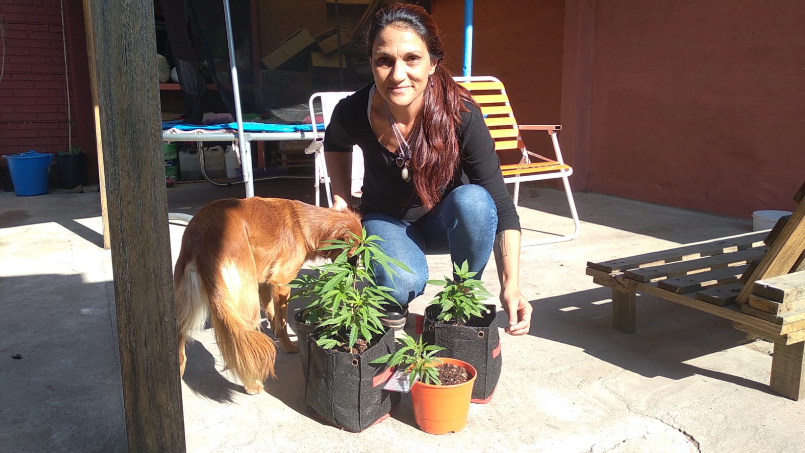CANDELA GROSSI: “AHORA VAMOS POR LA DESPENALIZACIÓN DE LA PLANTA DE CANNABIS”
