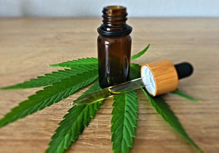 AVANZA LA REGULACIÓN SOBRE EL USO DEL CANNABIS MEDICINAL