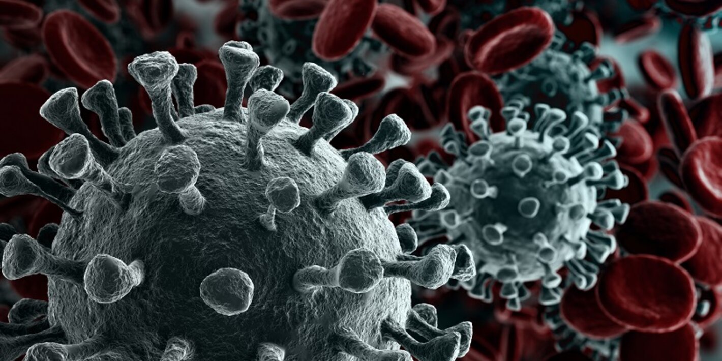 MIRIAM BRUNO: “EL CORONAVIRUS FUNCIONA DE MANERA SIMILAR A OTROS VIRUS RESPIRATORIOS”