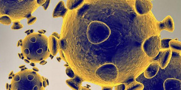 EL MINISTERIO DE SALUD DIFUNDIÓ GUÍA SOBRE SÍNTOMAS Y CONTACTOS ESTRECHOS DE CORONAVIRUS