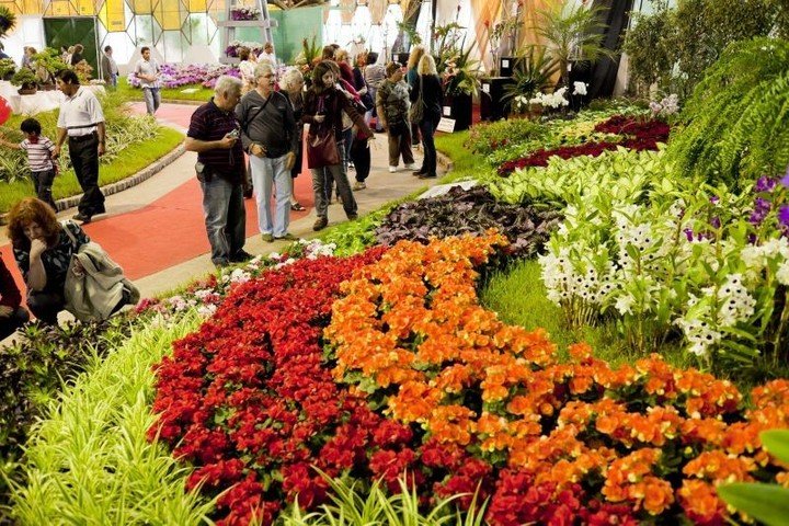 SE VIENE LA TRADICIONAL FIESTA NACIONAL DE LA FLOR EN ESCOBAR