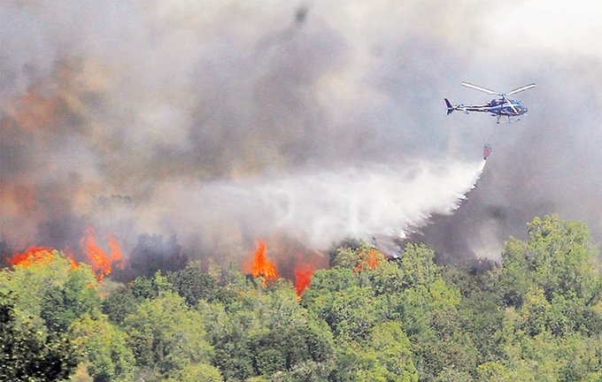 DECLARAN LA EMERGENCIA ÍGNEA EN TODO EL PAÍS