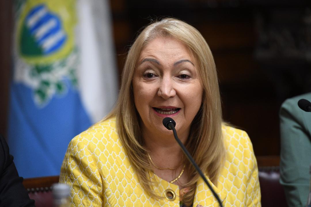 SILVIA GIACCOPO: "LOS ARGENTINOS TENEMOS QUE ESTAR UNIDOS FRENTE A LA TRAGEDIA MUNDIAL"